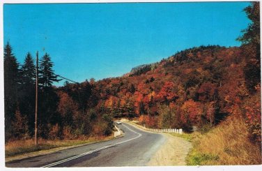Postcard Greetings From Ontario Algoma's Forests Ablaze With Colour