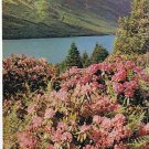 United Kingdom UK Scotland Postcard Meall na Teanga Loch Lochy Invergloy