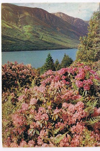 United Kingdom UK Scotland Postcard Meall na Teanga Loch Lochy Invergloy