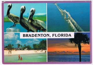Florida Postcard Bradenton Multi View Pelicans Bridge Beach Sunset