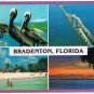 Florida Postcard Bradenton Multi View Pelicans Bridge Beach Sunset