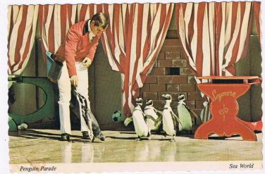 Florida Postcard Sea World Parade Of Pompous Penguins