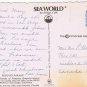 Florida Postcard Sea World Parade Of Pompous Penguins