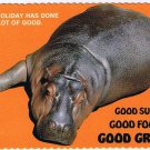 Comic Postcard Hippopotamus Good Sun Good Food Good Grief
