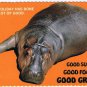 Comic Postcard Hippopotamus Good Sun Good Food Good Grief