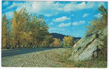 Ontario Postcard Simcoe County Rock Cut