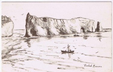 Quebec Postcard Perce Rock Line Drawing Rachel Marion