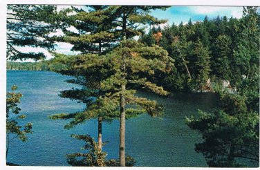Ontario Postcard Lake With Trees