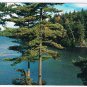 Ontario Postcard Lake With Trees