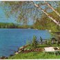 Ontario Postcard Birch Trees By Lake Chairs Wheelbarrow