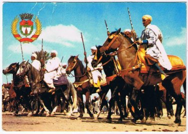 Morocco Postcard Marrakech Fantasia & Town Emblem