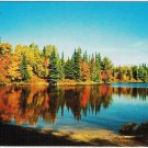 Ontario Postcard Autumn Lake And Beach