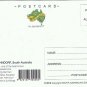 Australia Postcard Historic Hahndorf German Vilalge