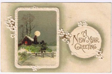 Holiday Postcard New Year Greeting Embossed Winter Scene Moonlight Germany