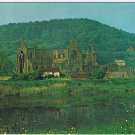 United Kingdom UK Postcard Gwent Tintern Abbey From Across River Wye