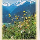 Austria Postcard Salzburg Nationalpark Hohe Tauern