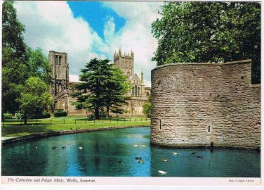 United Kingdom UK Postcard Wells Somerset Cathedral & Palace Moat