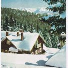 Germany Postcard Frohliche Weihnachten und cin Gefundesneues Fah