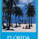 Florida Postcard Florida Beach Palm Trees Sunbathers