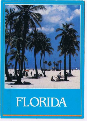 Florida Postcard Florida Beach Palm Trees Sunbathers