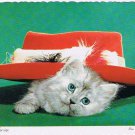 Comic Postcard Cute Kitten Under Hat Try This One On For Size
