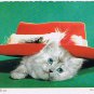 Comic Postcard Cute Kitten Under Hat Try This One On For Size