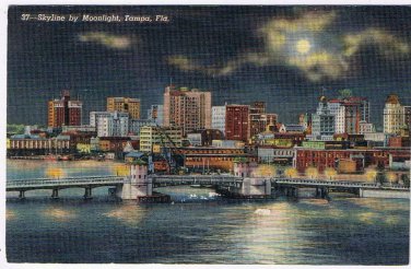 Florida Postcard Tampa Skyline By Moonlight