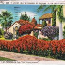 Florida Postcard St Petersburg Tropical Foliage Flame Vine Sunshine City