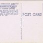 Florida Postcard St Petersburg Tropical Foliage Flame Vine Sunshine City