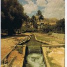 Israel Postcard Jericho Elisha Spring