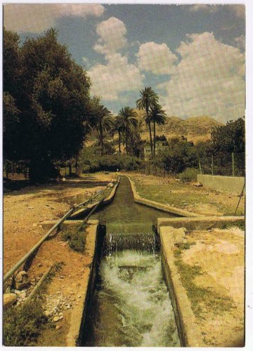 Israel Postcard Jericho Elisha Spring