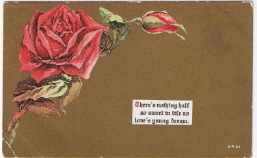 Valentine Postcard Red Rose Love's Young Dream