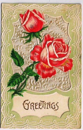 Flower Postcard Embossed Roses Greetings 1908