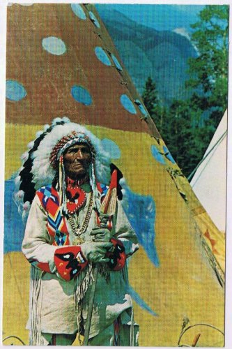 Alberta Postcard Banff Indian Days Canadian Rockies