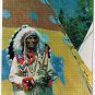 Alberta Postcard Banff Indian Days Canadian Rockies