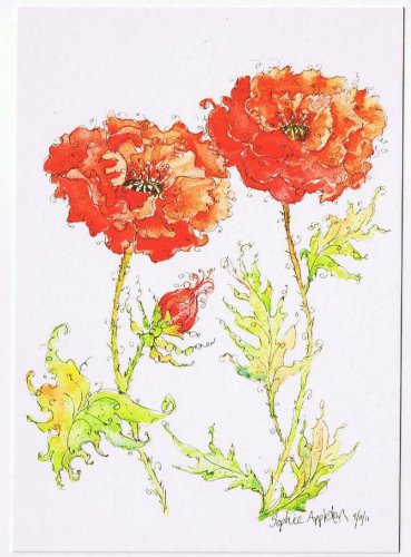 Art Flowers Postcard Papara Orientale Sophie Appleton