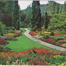 British Columbia Postcard Sunken Gardens Limestone Quarry Pyramital Arborvitae