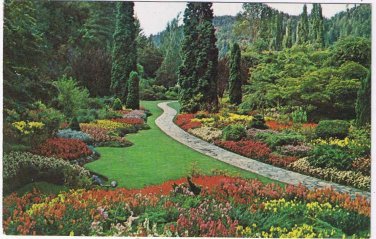 British Columbia Postcard Sunken Gardens Limestone Quarry Pyramital Arborvitae