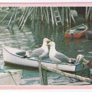 Nova Scotia Postcard Getting Together Seagulls Boats