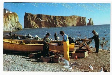 Quebec Laminated Postcard RPPC Perce Fishermen Returning With Fish