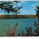 Ontario Postcard Smooth Rock Falls Kents Esso Service Lake Through Trees
