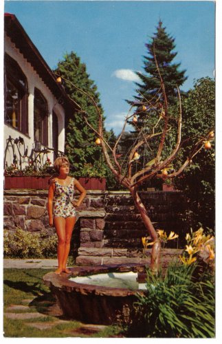 Quebec Postcard Ste Agathe des Monts Laurentide Inn