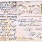 Florida Postcard Driving Ostrich At Ostrich Farm 1912