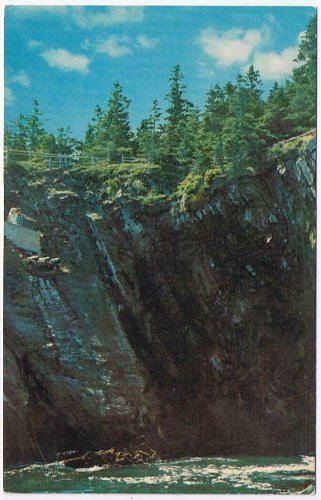 Nova Scotia Postcard Riverport Ovens Natural Park Blow Hole