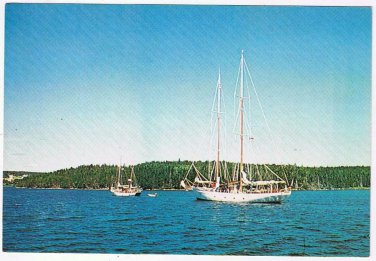 Nova Scotia Postcard Sailing Popular Pasttime
