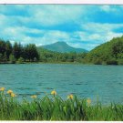 United Kingdom UK Scotland Postcard Loch Ard & Ben Lomond