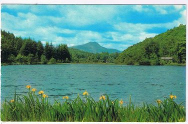 United Kingdom UK Scotland Postcard Loch Ard & Ben Lomond