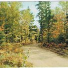Ontario Postcard Gordon Bay Autumn Country Road