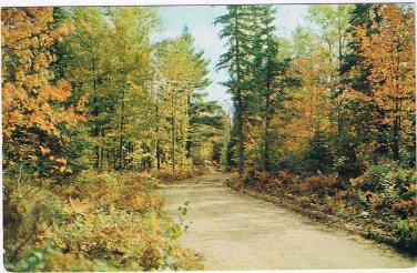 Ontario Postcard Gordon Bay Autumn Country Road