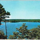 Ontario Postcard Trees By Lake